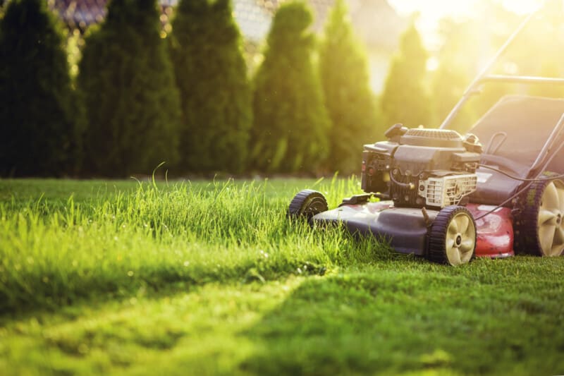 Service tonte de pelouse 10 entre particuliers